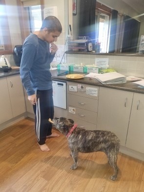 Ali enjoying a visit from Tully the dog