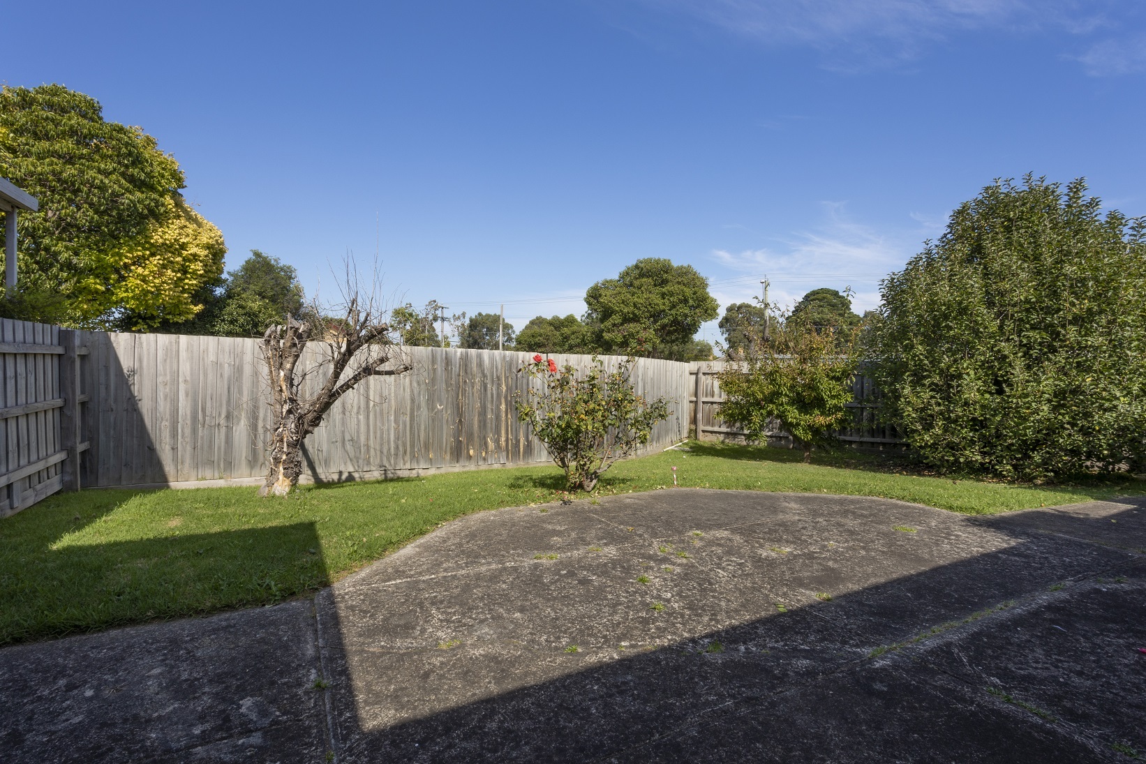 Backyard area with large concrete slab