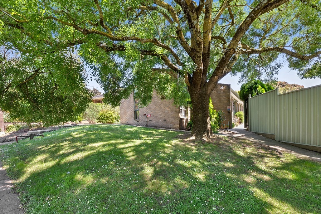Large green tree in the front yard outside an SDA house in Upper Ferntree Gully