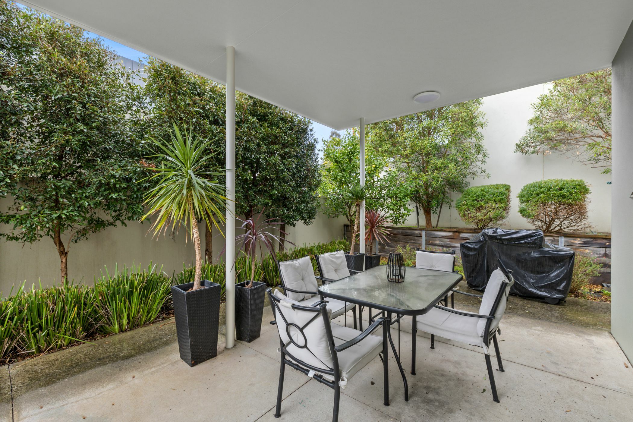 Contemporary outdoor living space with cushioned chairs and potted plants