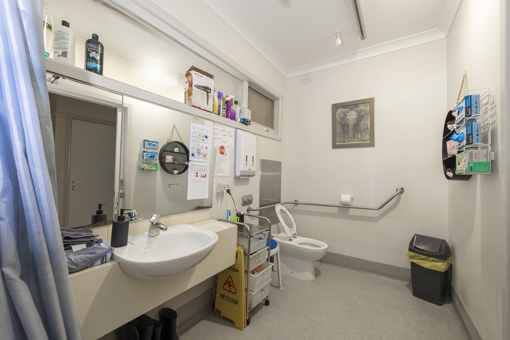 Bathroom in main house with toilet and handrail